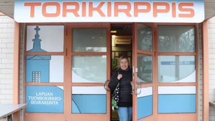 Torikirppis
